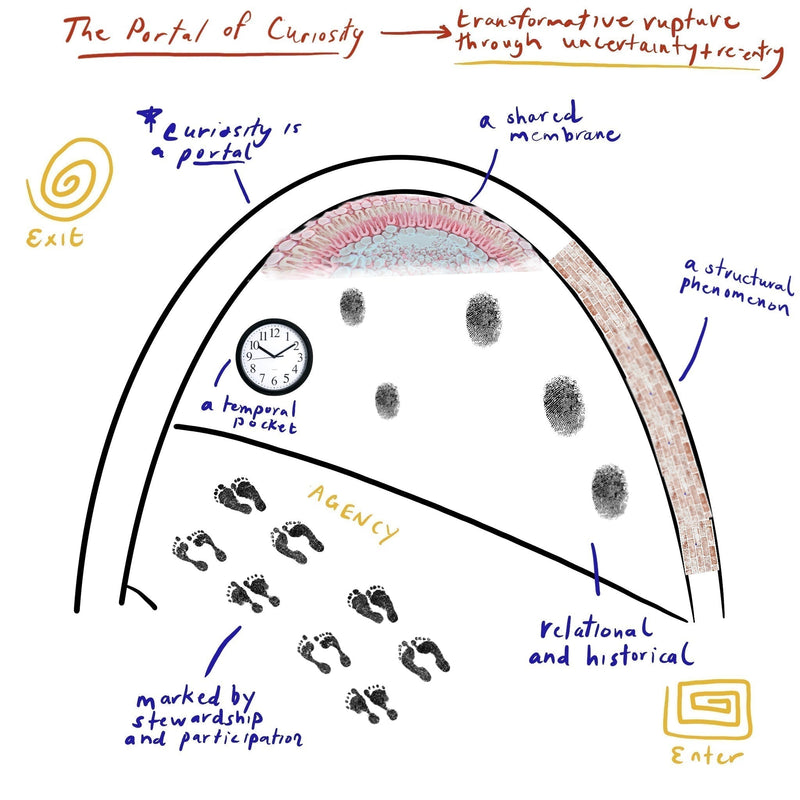 Part III Exploring Curiosity ~ The Portal of Curiosity