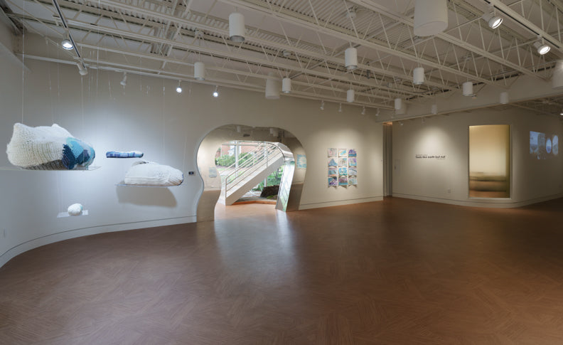 Feels like earth but not: on Elizabeth Alley’s Exhibition at ShapeShifter Art School