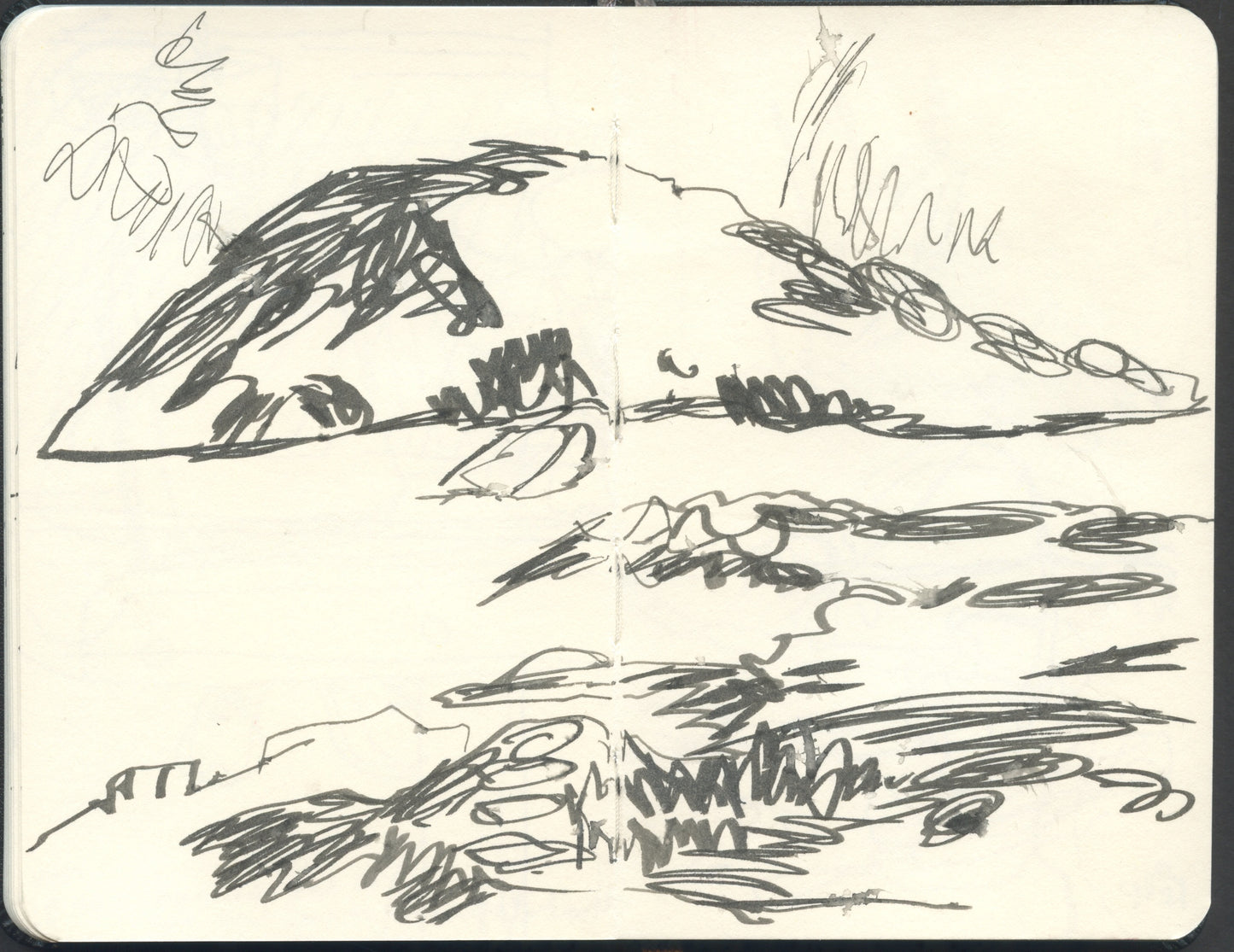 Finding Your Focus - Sketching Big Subjects