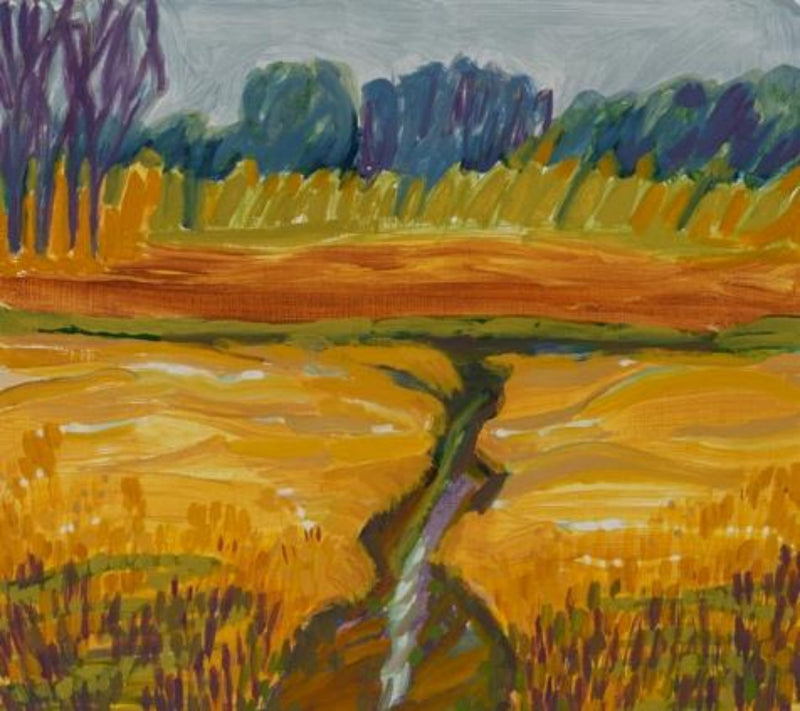 Fore River Sanctuary - Winter