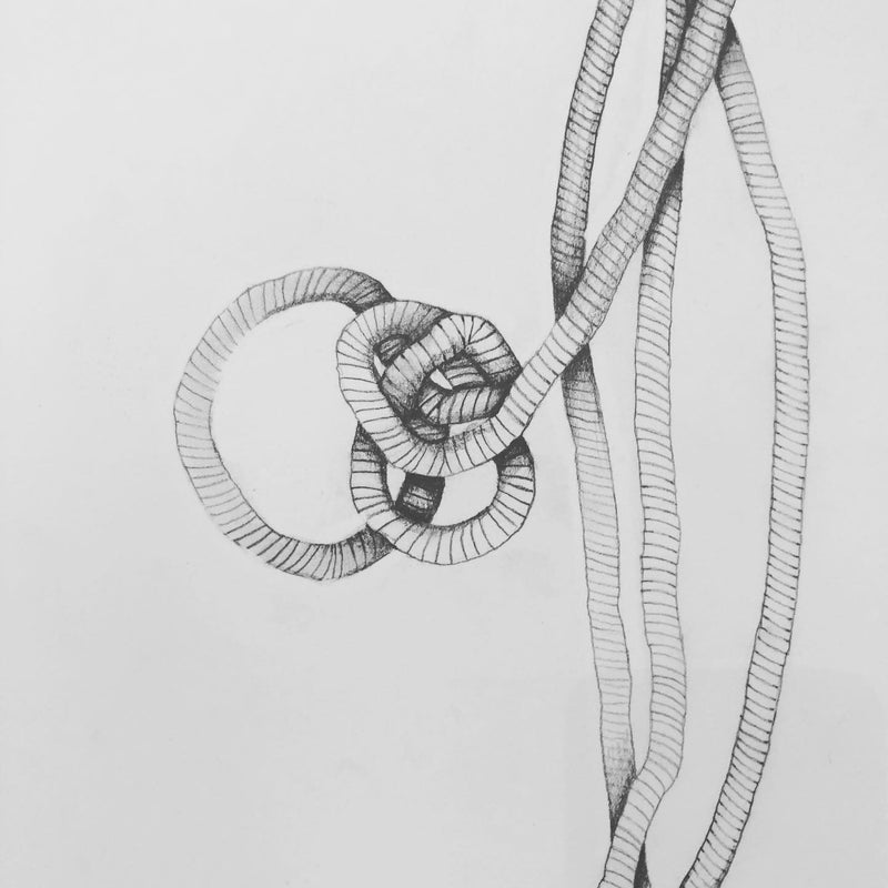 ENROLLMENT CLOSED: So you think you can't draw?