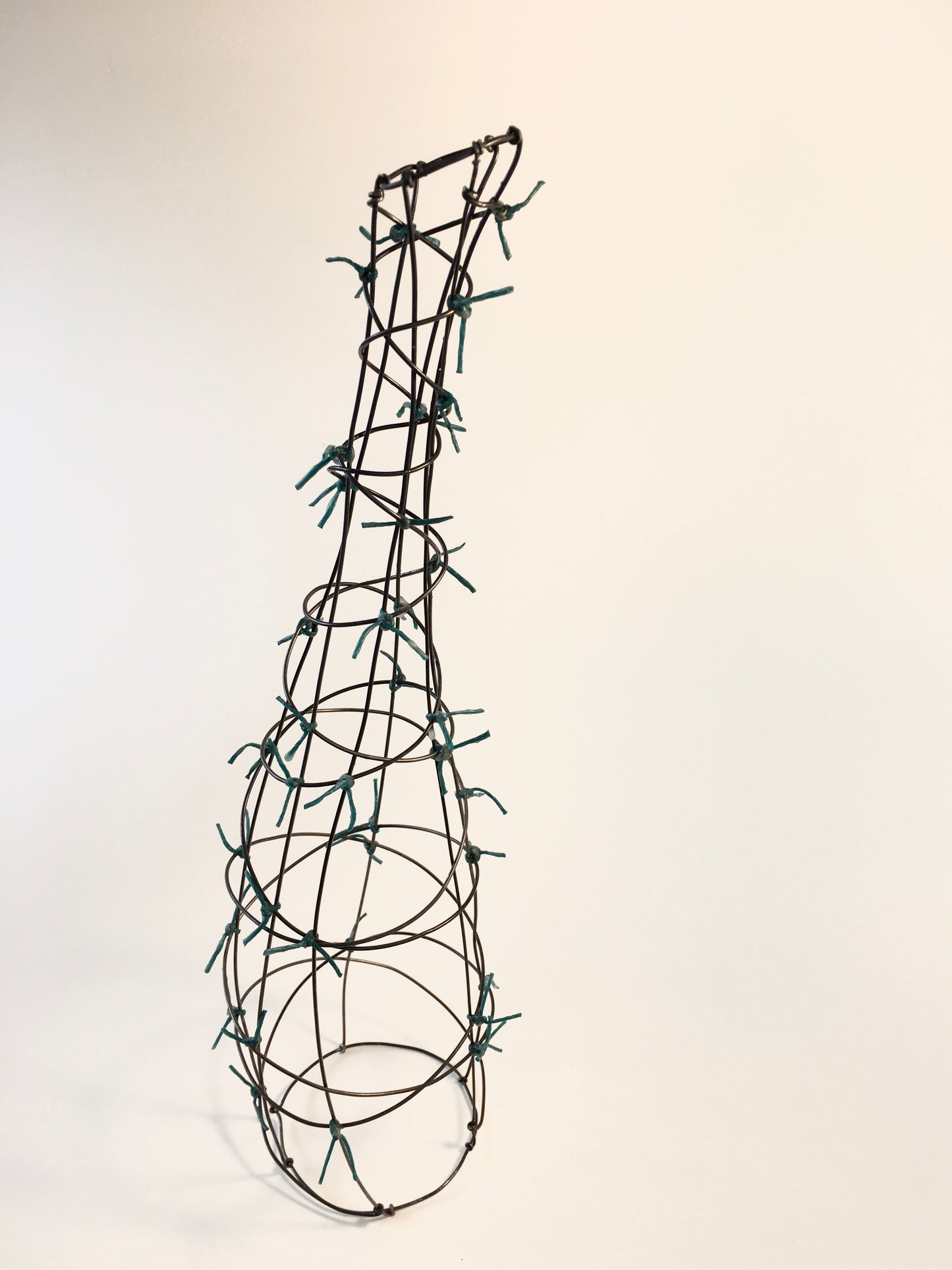 Wire Taster - Skill-Builder Community Offering