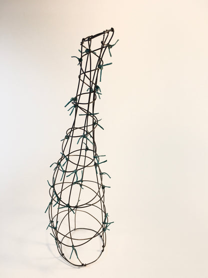 Wire Taster - Skill-Builder Community Offering