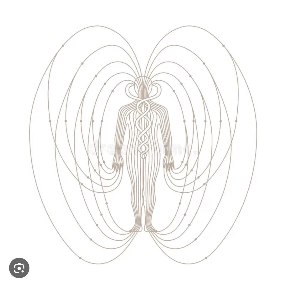 The Aura: Drawing and Movement - Skill-Builder Workshop